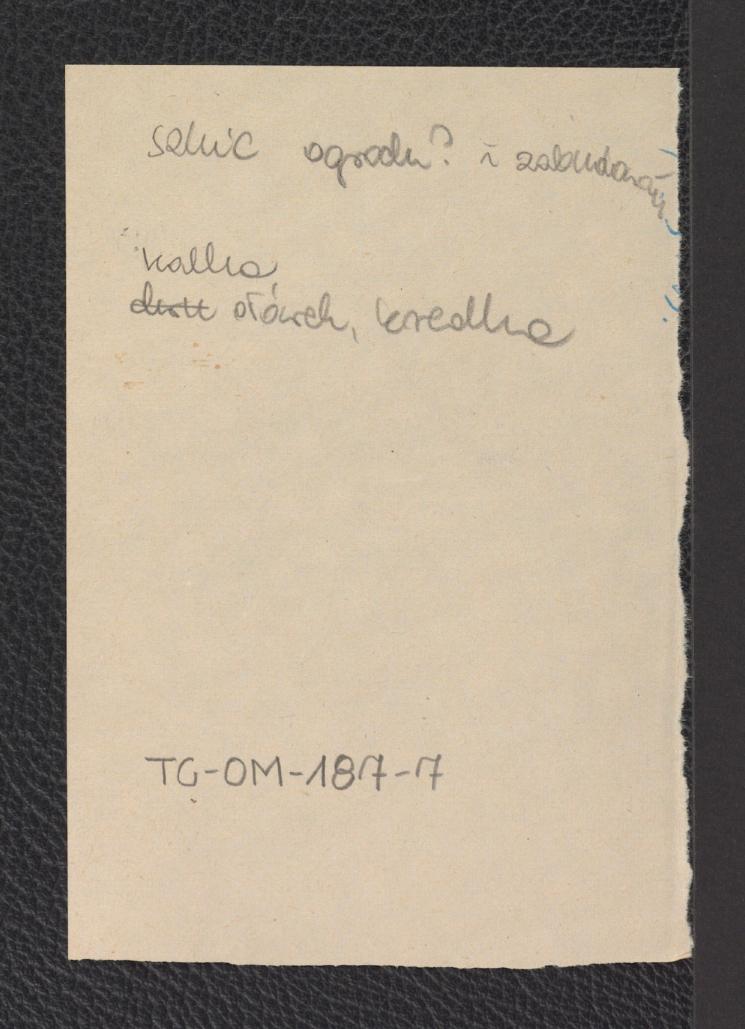 karta wzmiankująca szkic ogrodu i zabudowań, skan 1