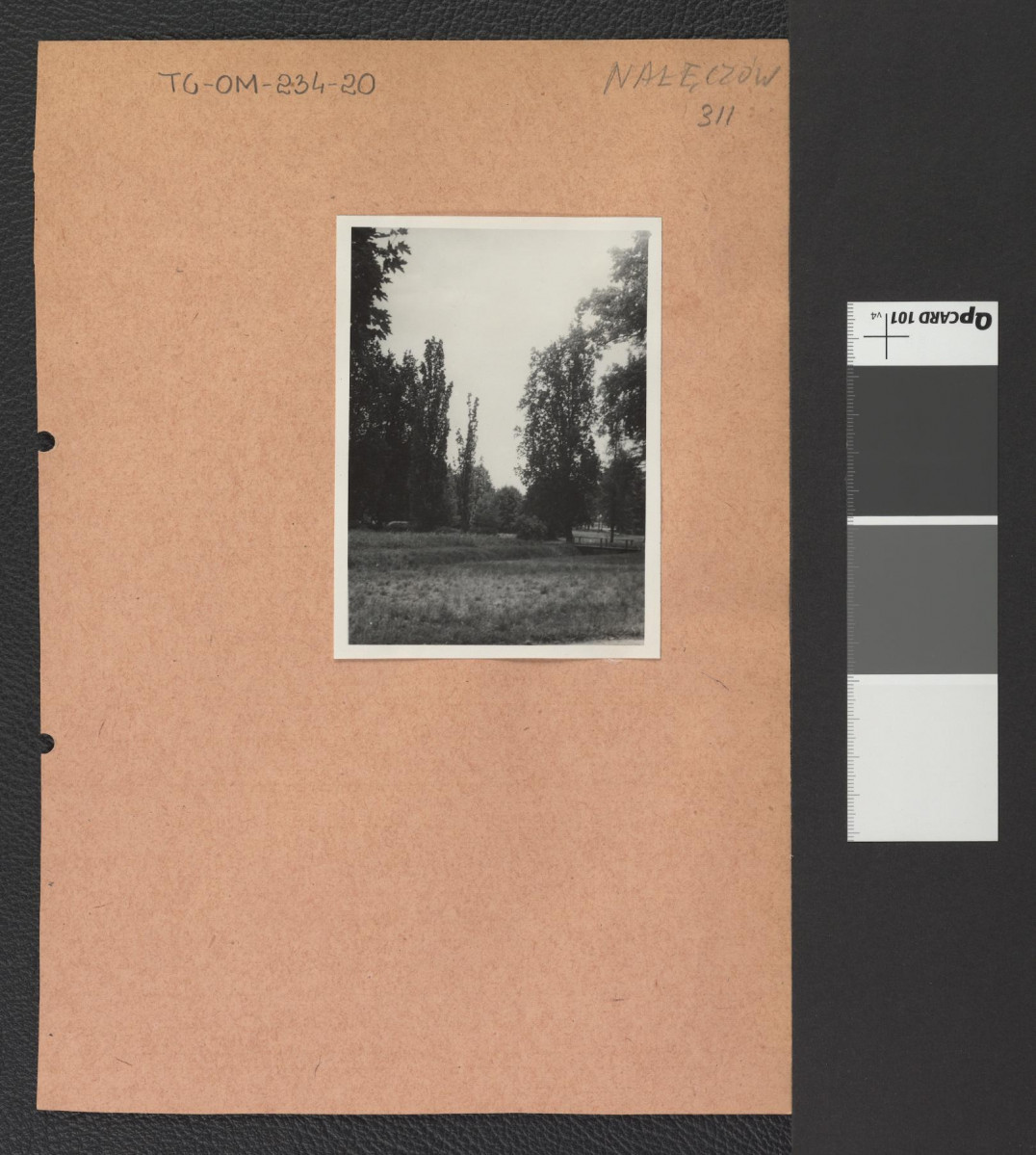fragment miejscowego parku, skan 1