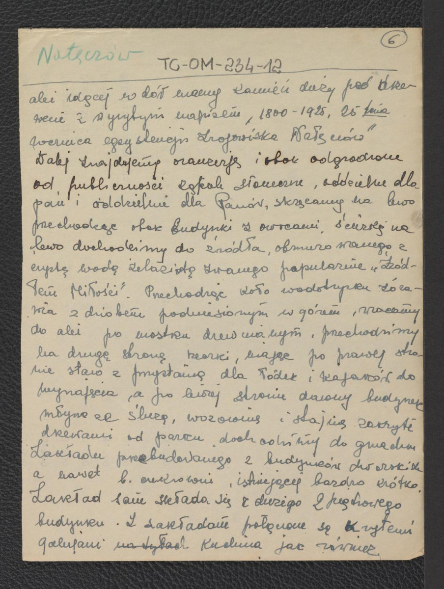 wypis z Chlewiński, Nałęczów, strona 20 zawierający charakterystykę wspomnianej miejscowości, skan 6