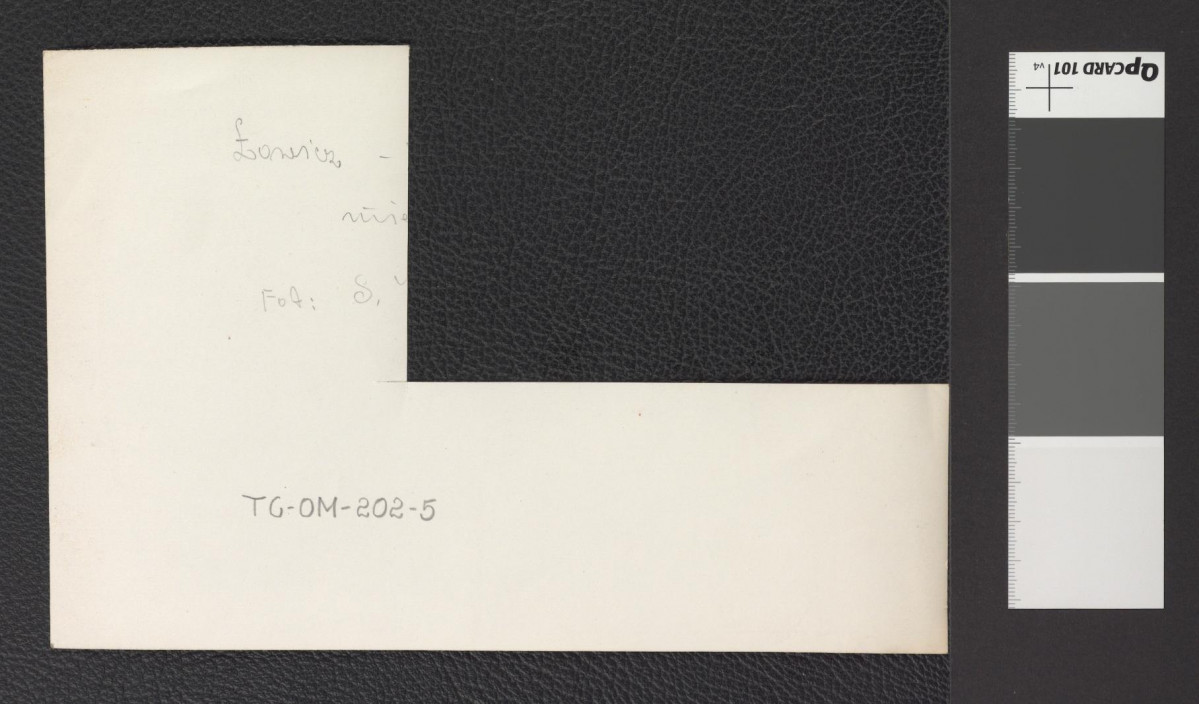 fragment widoku z lotu ptaka na wspomnianą miejscowość prawdopodobnie w początkach XVII wieku (uszkodzona fotografia dwubarwna reprodukcji ryciny z epoki), skan 2