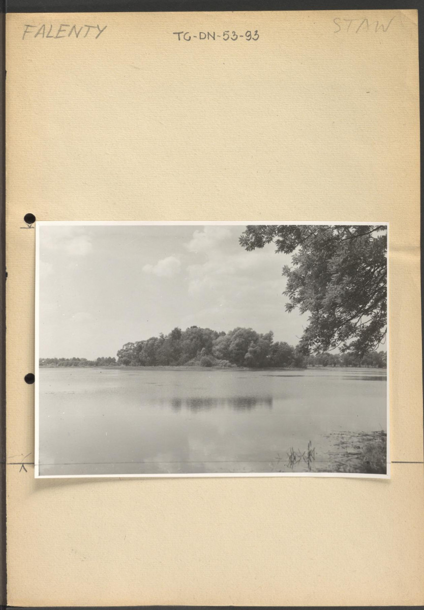 ilustracja związana z hasłem - staw - widok Stawów Raszyńskich w Falentach, skan 1