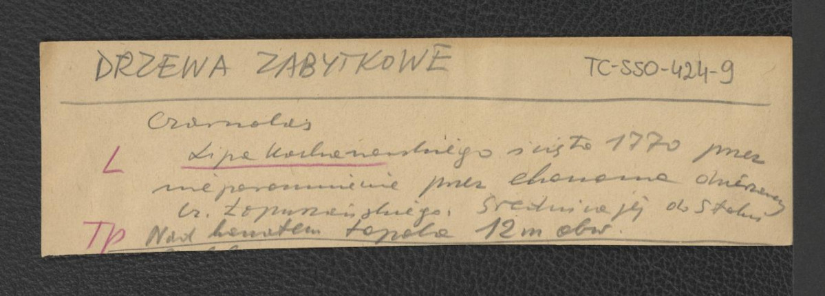 ponownie zwięzłe wypisy wzmiankujące miejscowości, w których zaistniały ozdobne drzewa , skan 3