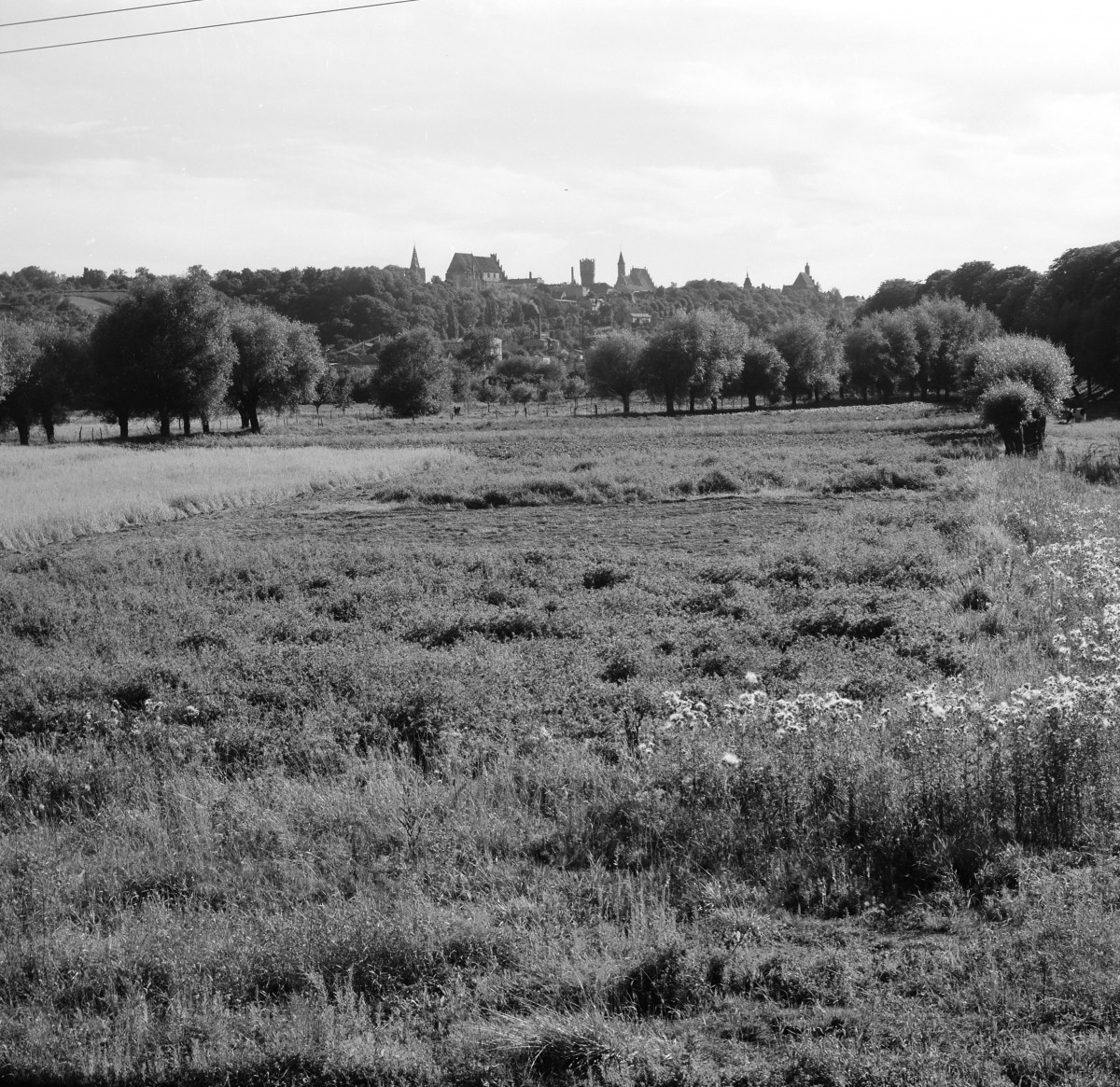 Panorama miasta od strony płn., skan 1
