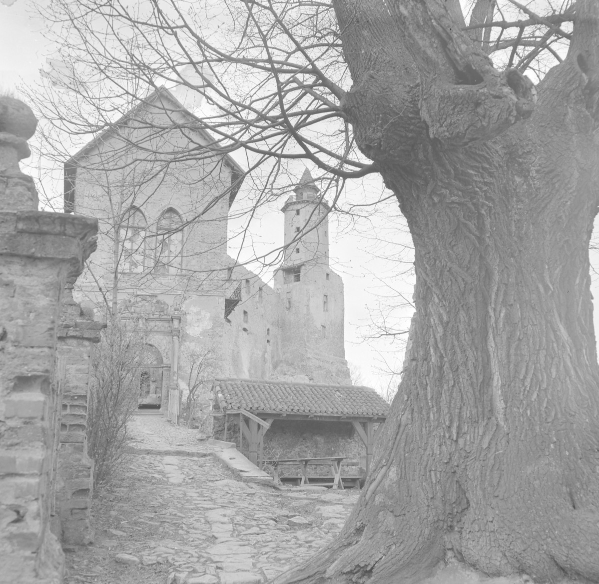 Zamek Grodno - wieża bramna i dojście do niej. Widoczna czworoboczna wieża., skan 1