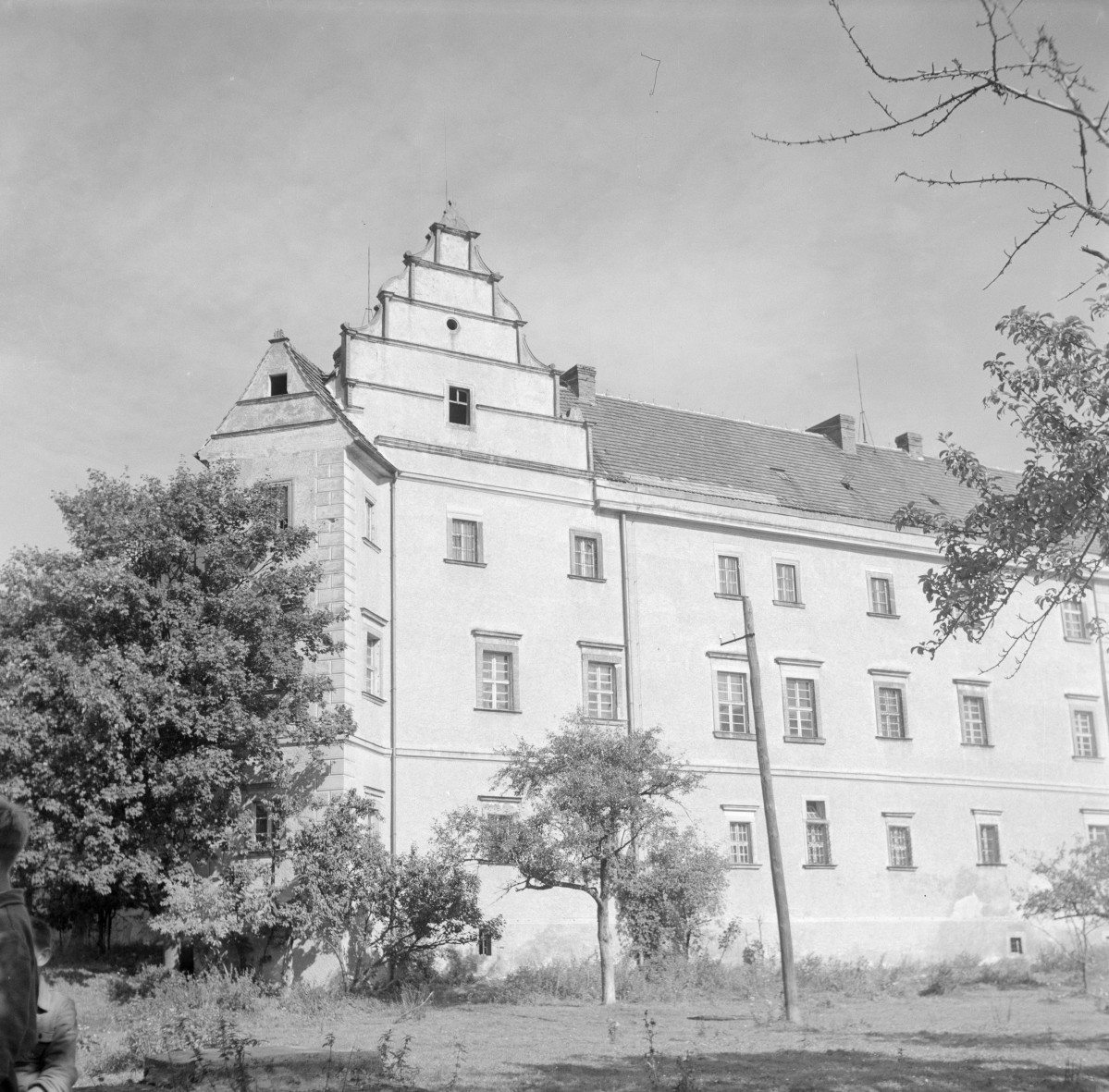 zamek - pałac, widok ogólny, skan 1