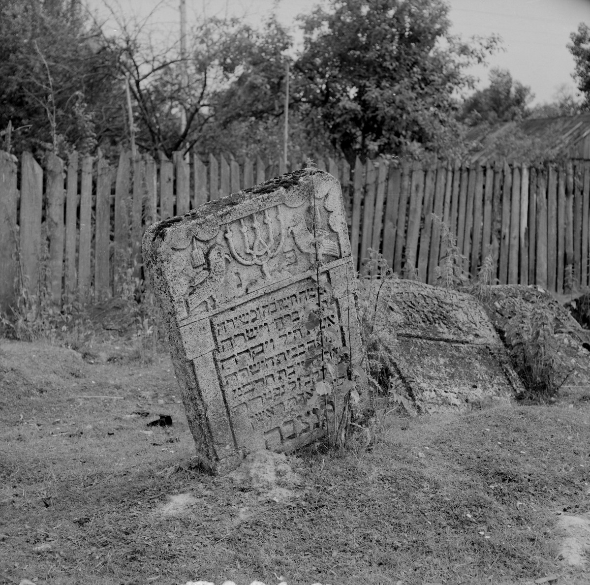 Cmentarz, Kirkut - macewy, skan 1