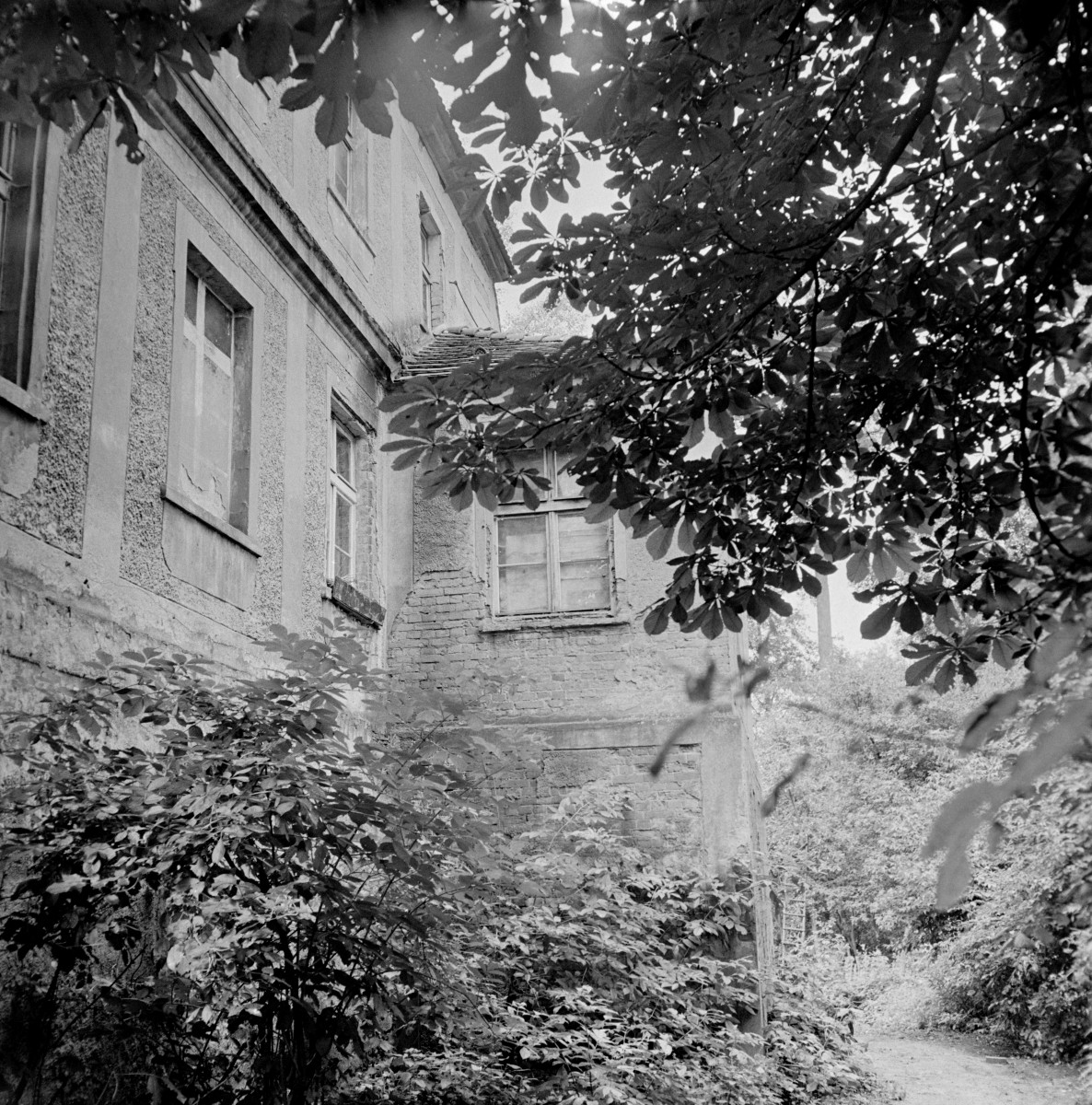 pałac - elewacja zachodnia, skan 1