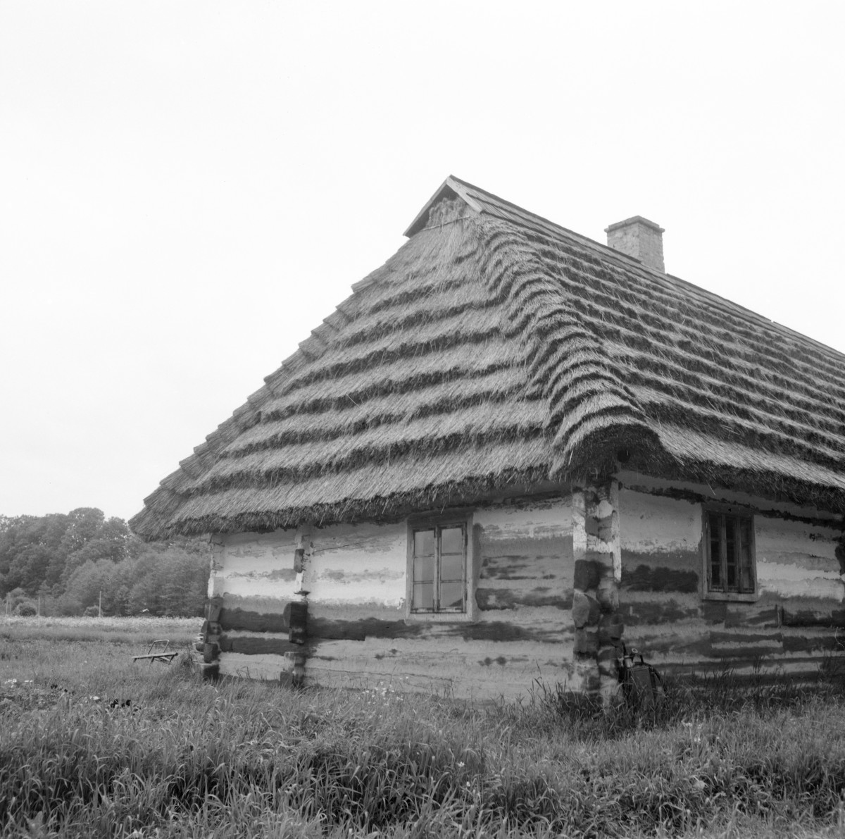 skansen - wieczna chałupa z tzw. tragarzem z Dąbrówki Ruskiej, elewacja, skan 1