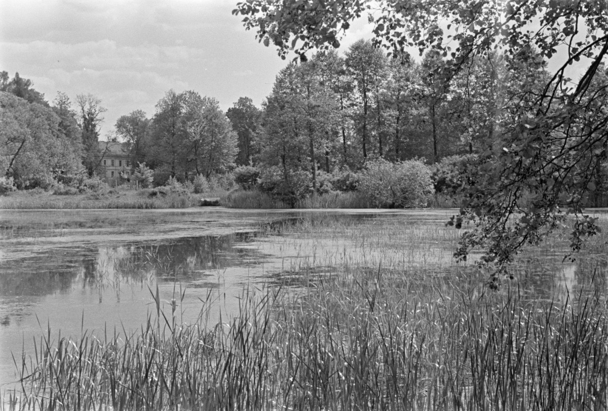 widok od strony Stawu Falenckiego na budynek biurowo-mieszkalny wzniesiony w latach 50 w stylu historyzujacego socrealizmu przy kompleksie pałacowym w Falentach, skan 1