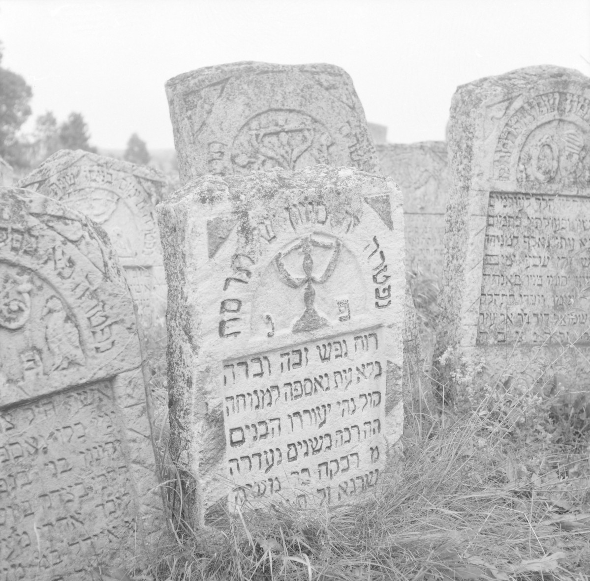 Cmentarz, Kirkut - macewy, skan 1