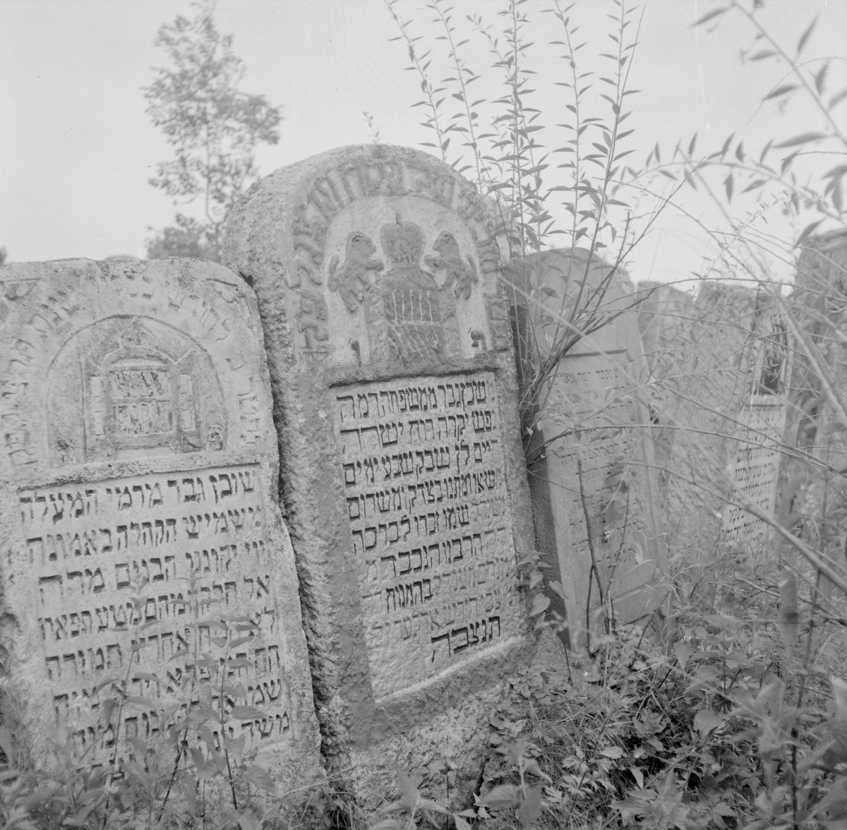 Cmentarz, Kirkut - macewy, skan 1