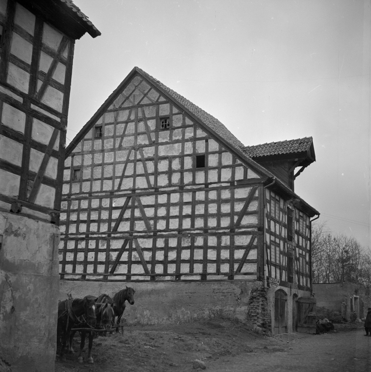 spichlerz, skan 1