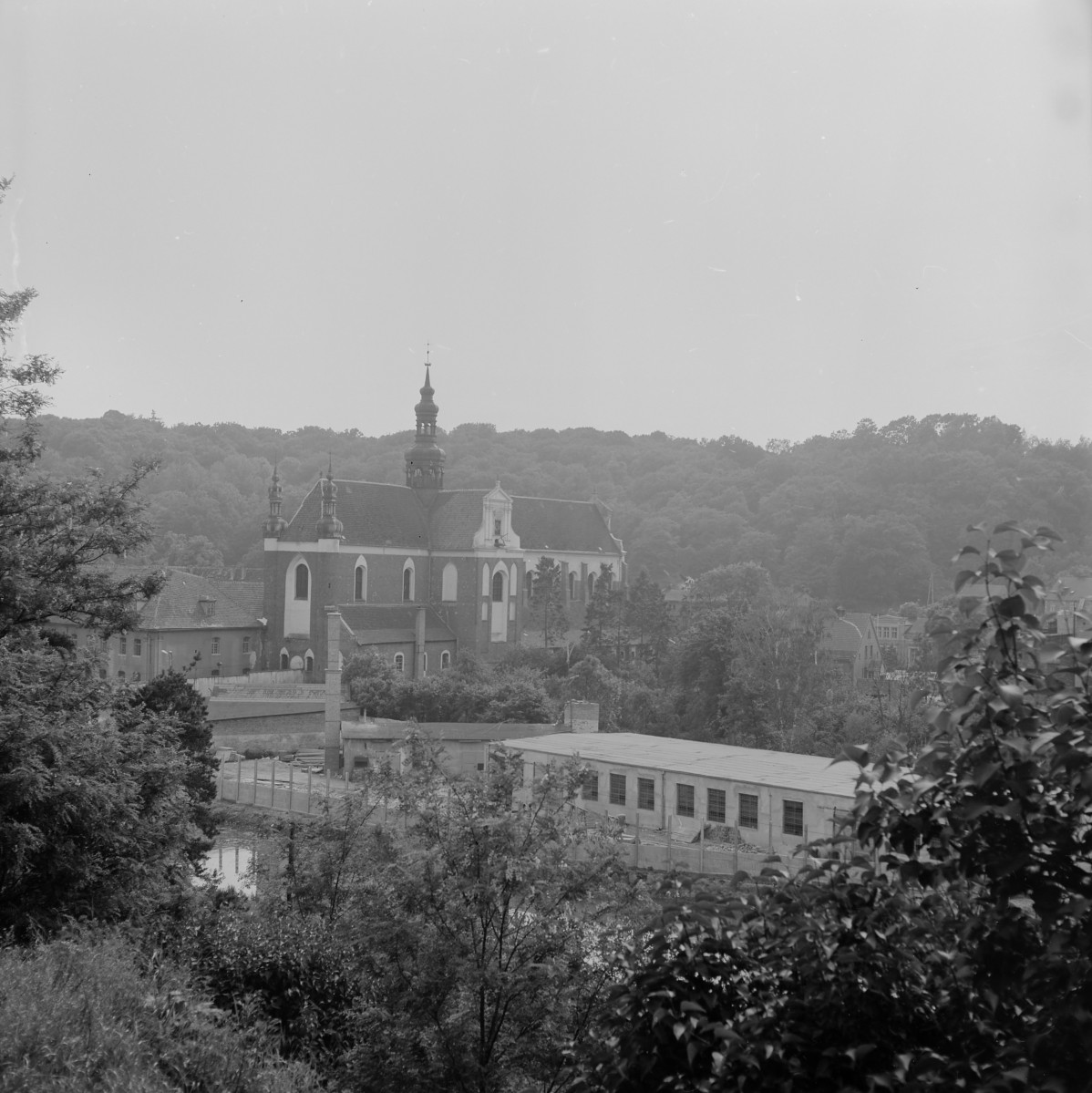 Bazyliki Wniebowzięcia NMP - widok ogólny, skan 1
