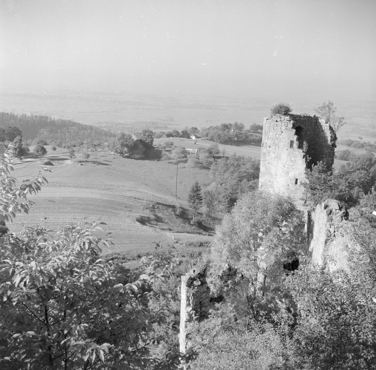 ruina Zamku Kamieniec - fragment, baszta, skan 1