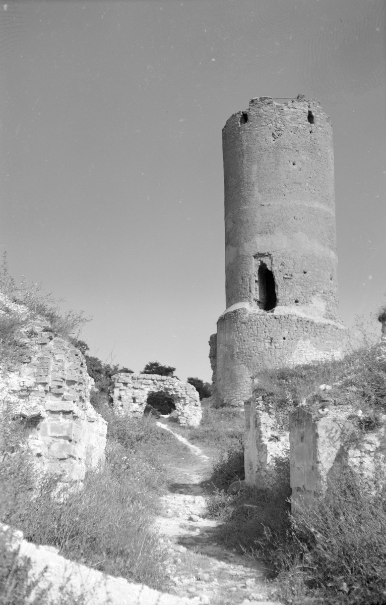 ruina zamku, baszta - widok ogólny, skan 1