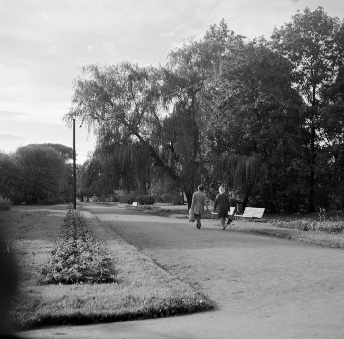 park miejski, skan 1