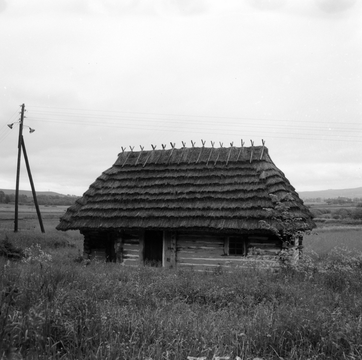 skansen - dom wyrobnika ze wsi Niebocko, widok ogólny, skan 1