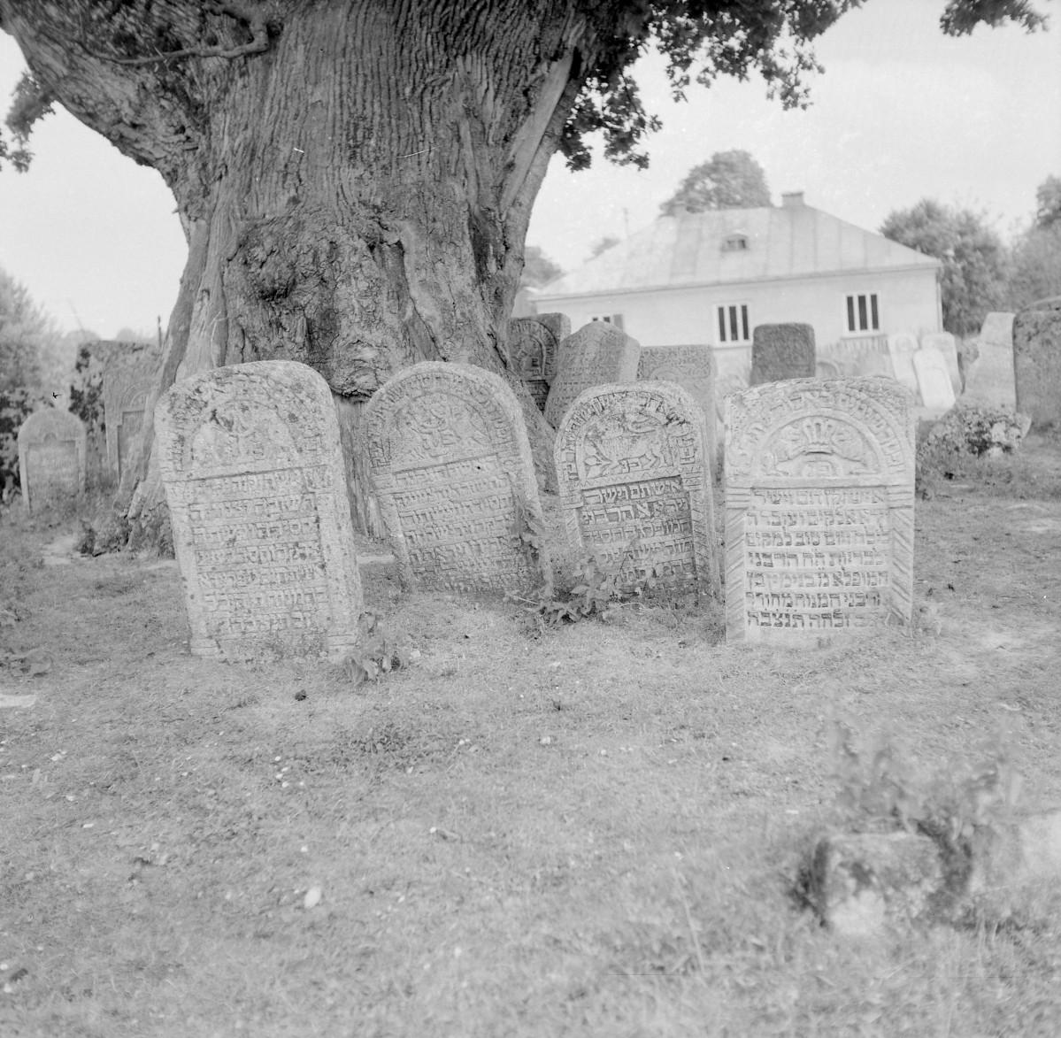 Cmentarz, Kirkut - macewy, skan 1