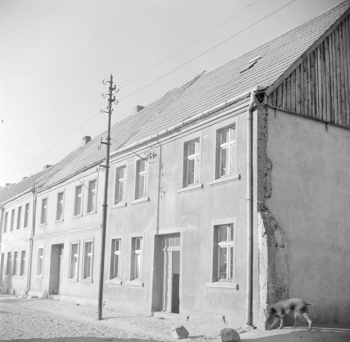 kamienica - elewacja frontowa, skan 1