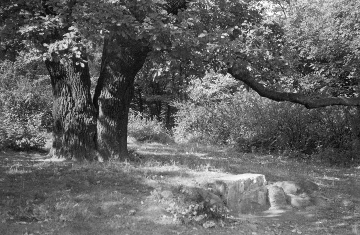 park Szczytnicki - ławeczka kamienna, skan 1
