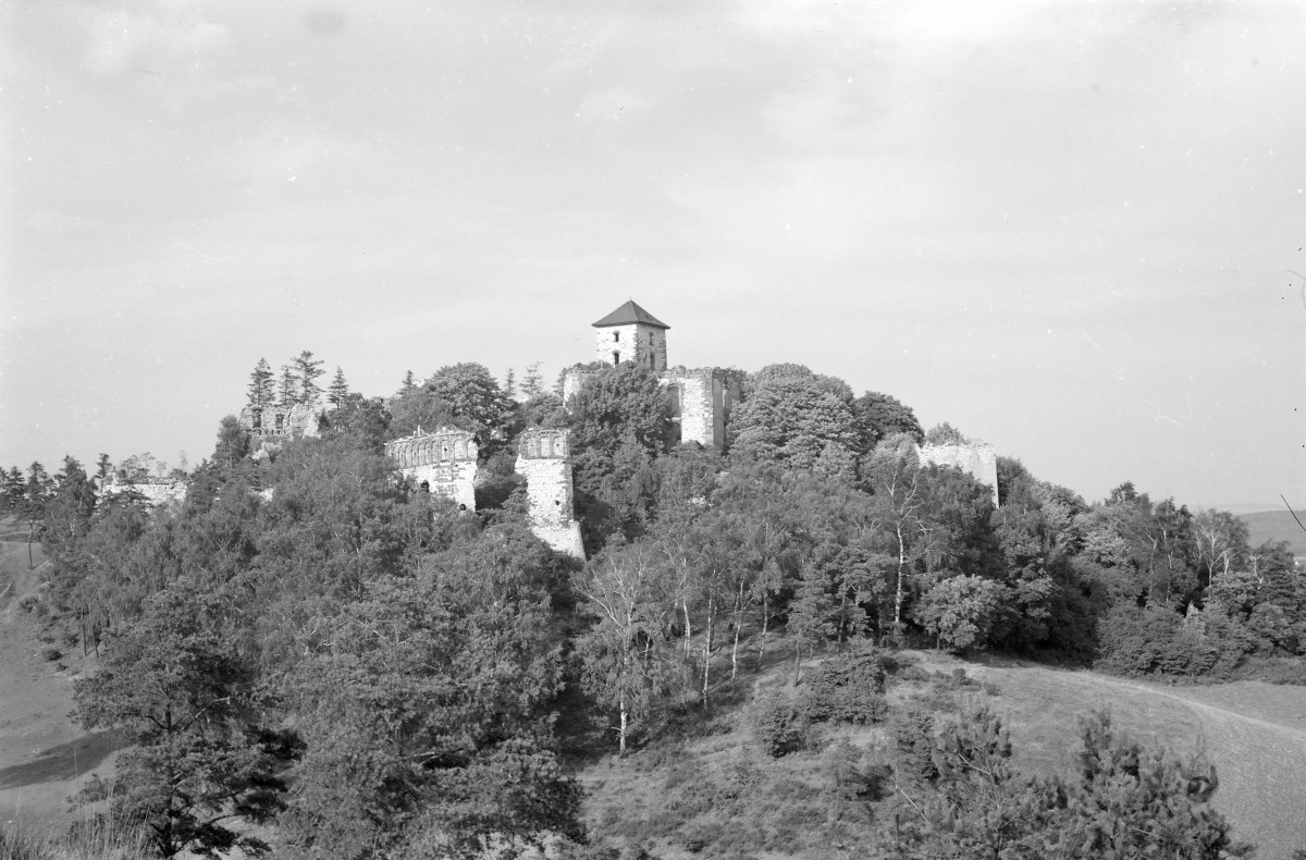 zamek Tenczynek - panorama na ruiny, skan 1