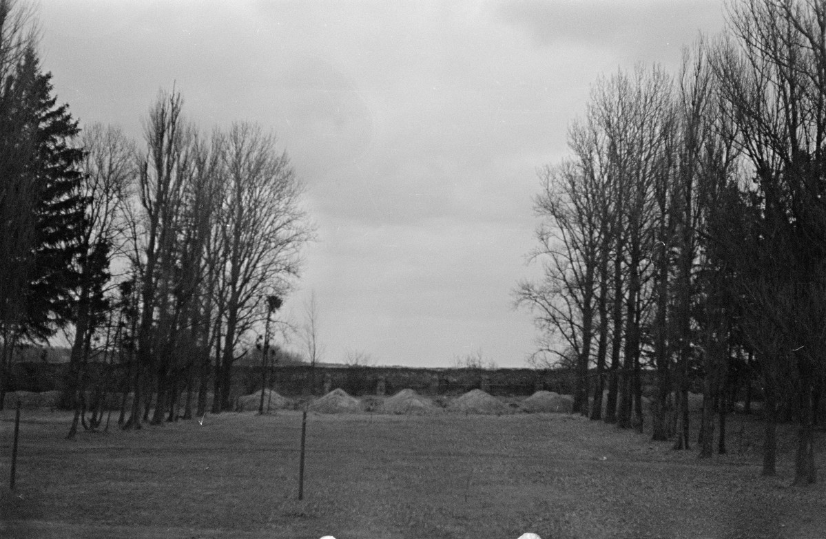 dwór obronny - park, skan 1
