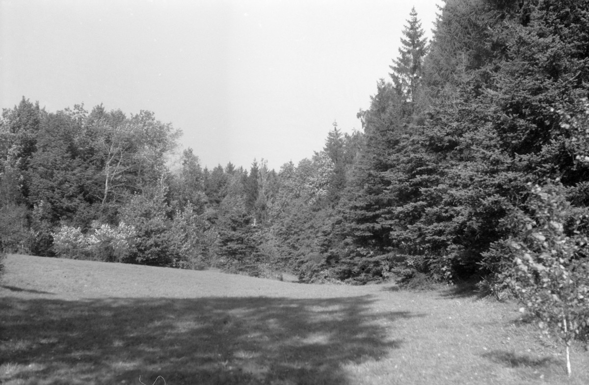 zamek Książ - park krajobrazowy - fragment, skan 1