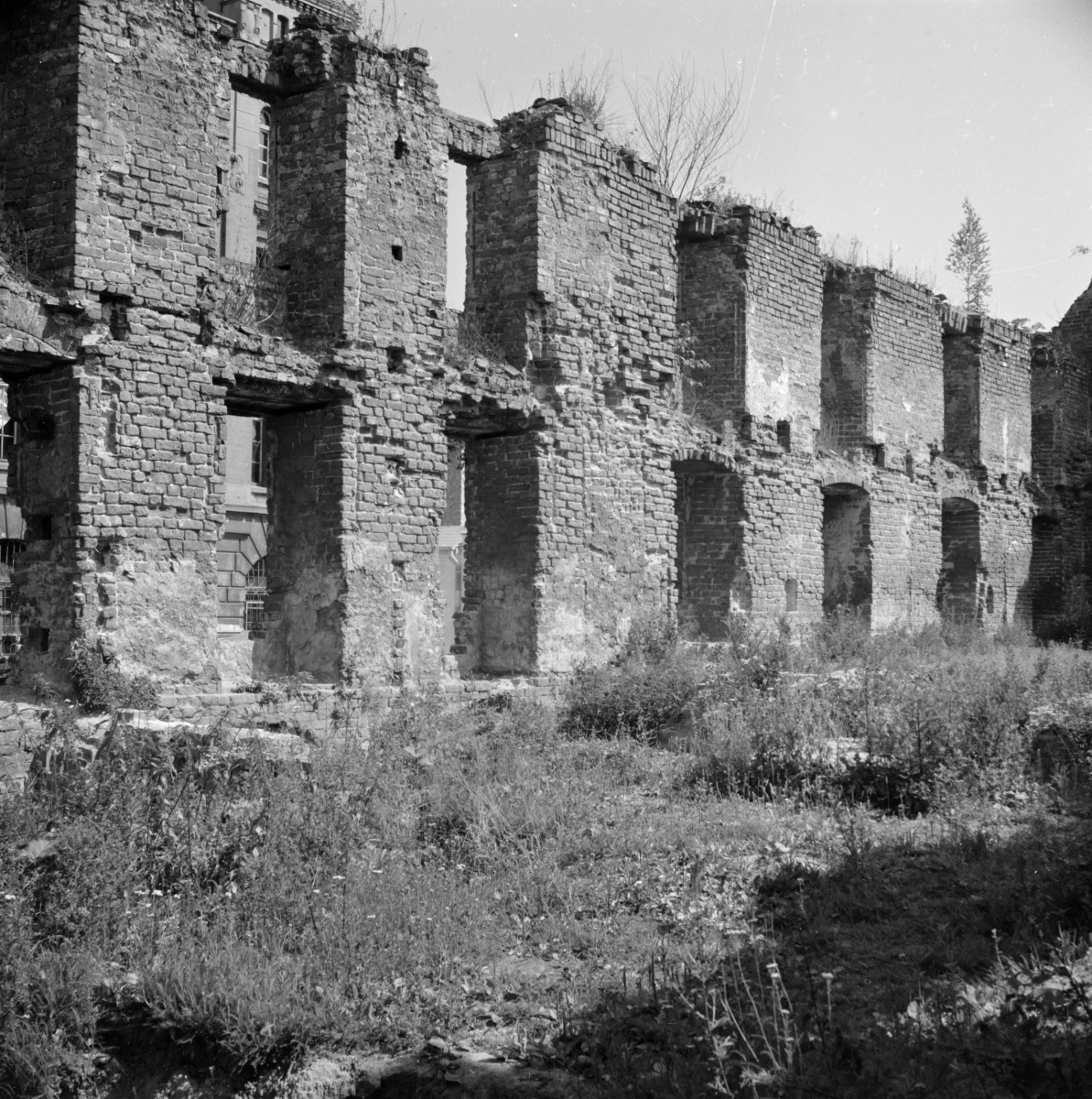 kościół pw. Św. Ducha, ob. Biblioteka Wojewódzka - wnętrze: ściana północna, skan 1