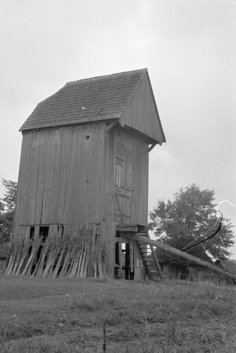 wiatrak koźlak, skan 1