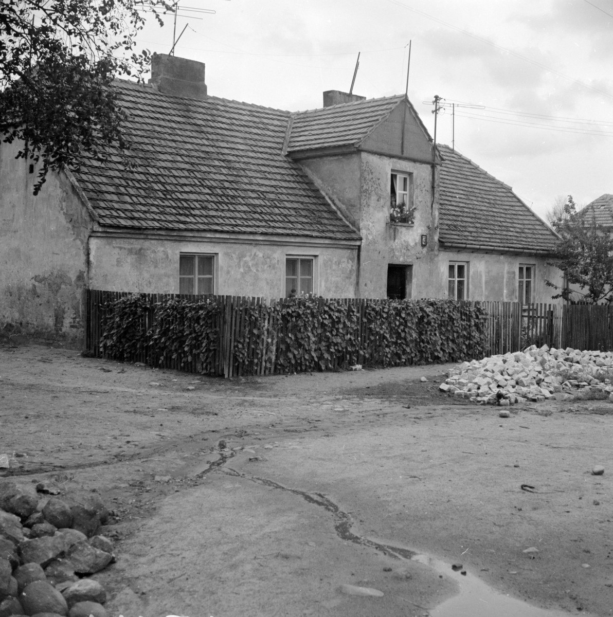 dom - elewacja frontowa, skan 1