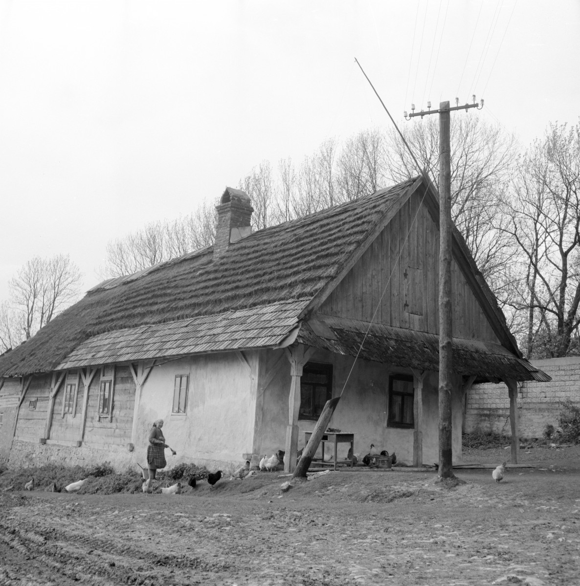 dom z podcieniem, elewacja szczytowa oraz boczna, skan 1