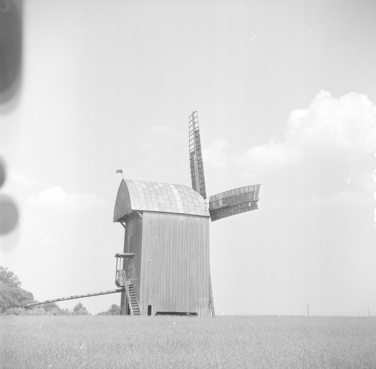 Wiatrak koźlak - widok ogólny, skan 1