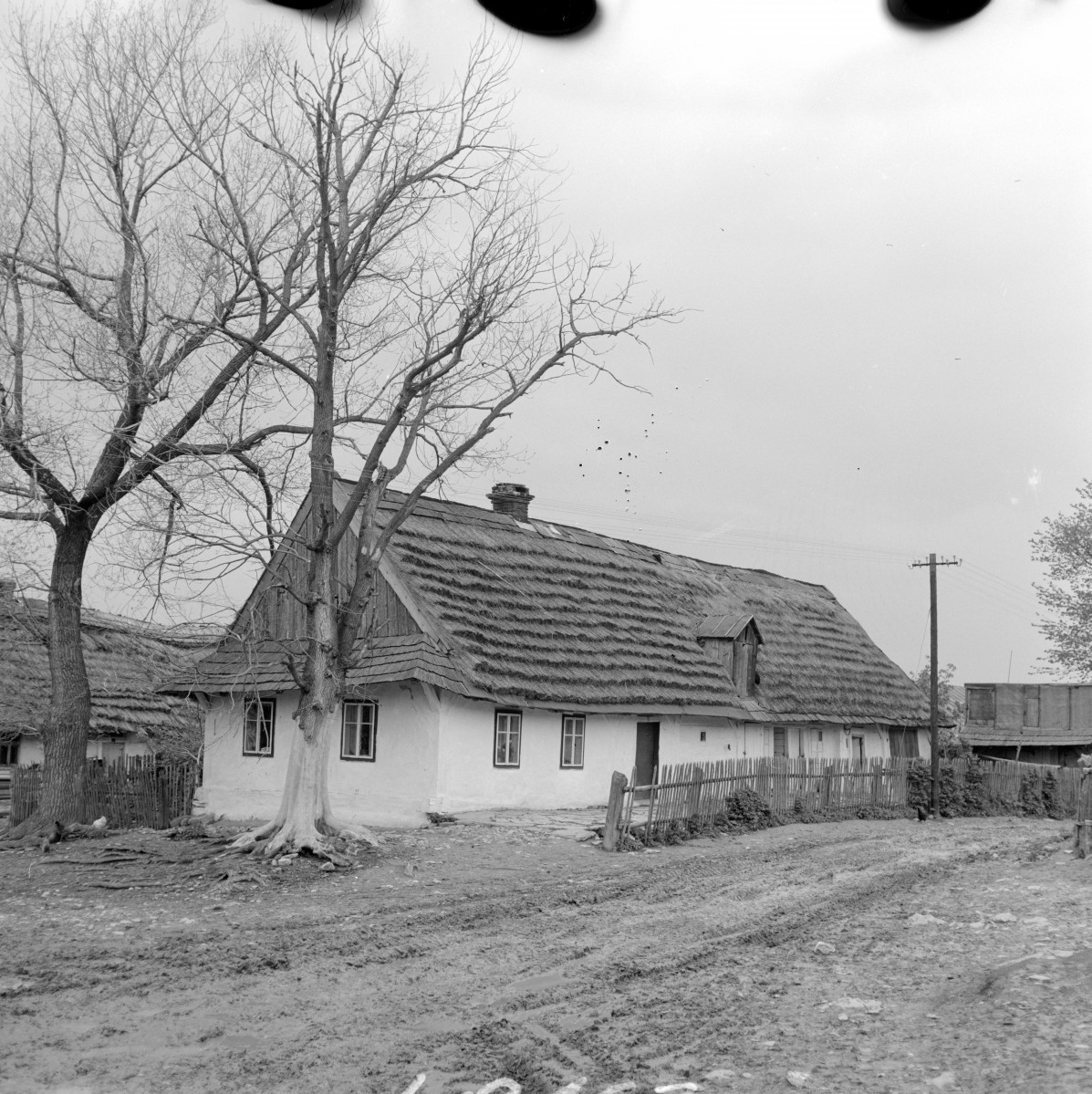 chałupa z podcieniem, elewacja szczytowa i boczna, skan 1