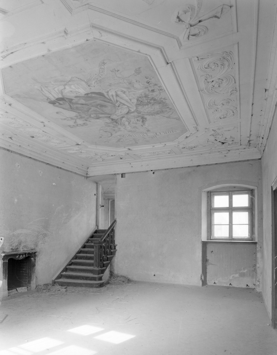 pałac - wnętrze: sala w części północnej, skan 1