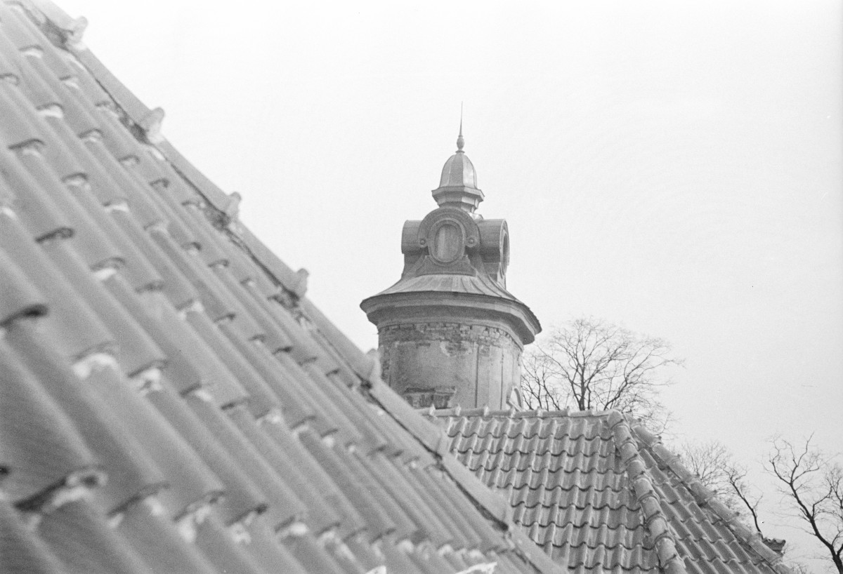 pałac - fragment dachu, skan 1