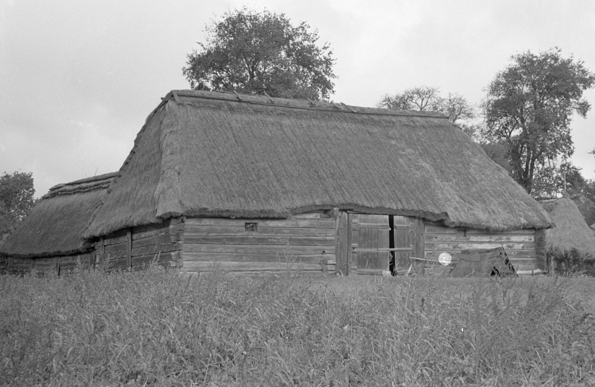 stodoła - elewacja, skan 1