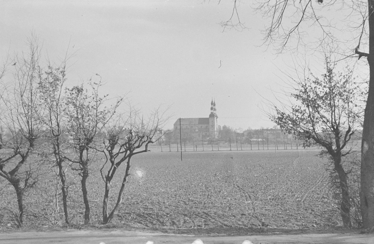 kolegiata - widok ogólny, skan 1