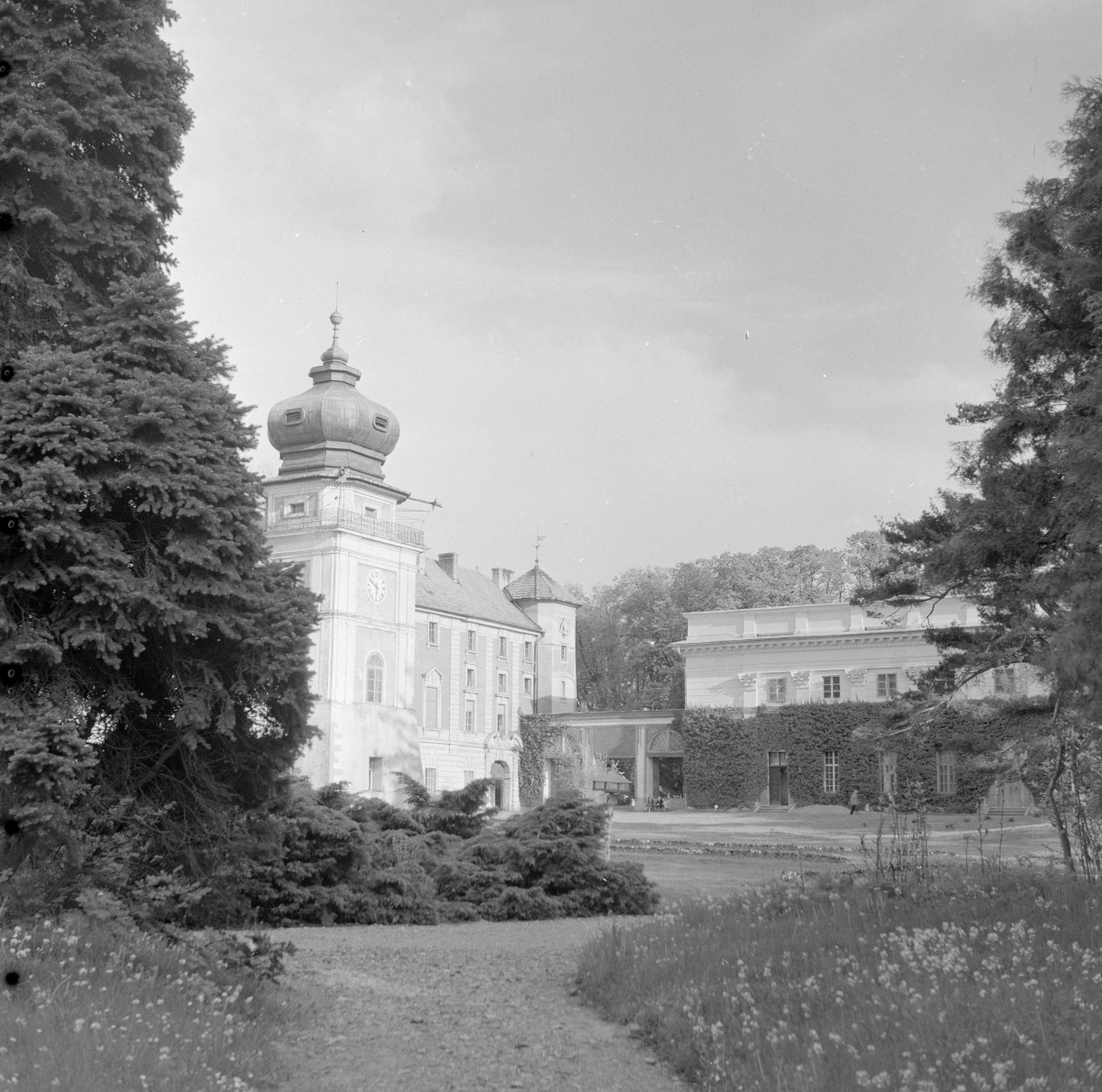 pałac, oranżeria - elewacja, skan 1