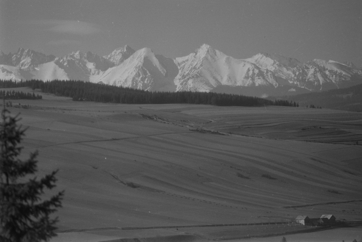 widok na tatry, skan 1