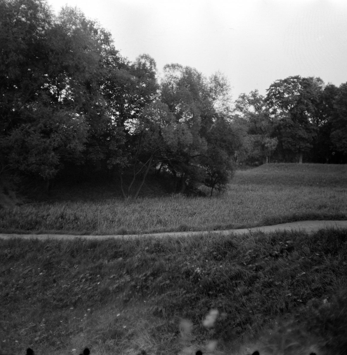 wały ziemne - pozostałości umocnień - fragment, skan 1