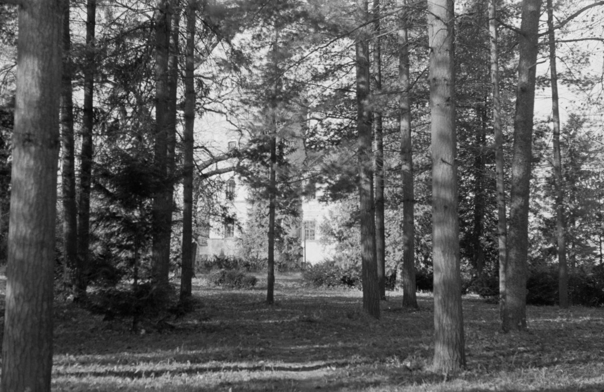 Fragment zadrzewienia przy Zamku, w tle widoczna Baszta Rycerska (Szlachecka), skan 1