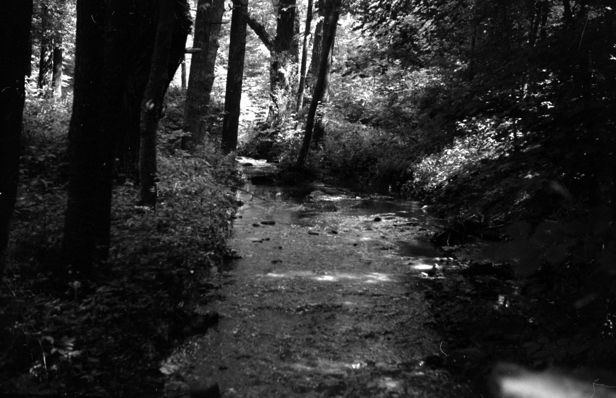 park miejski - potok - fragment, skan 1