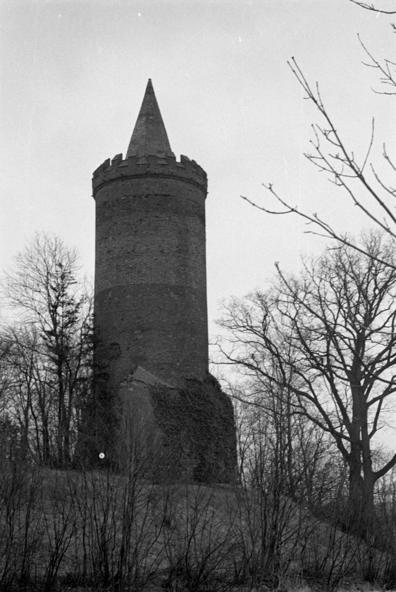 wieża zamkowa - widok ogólny, skan 1