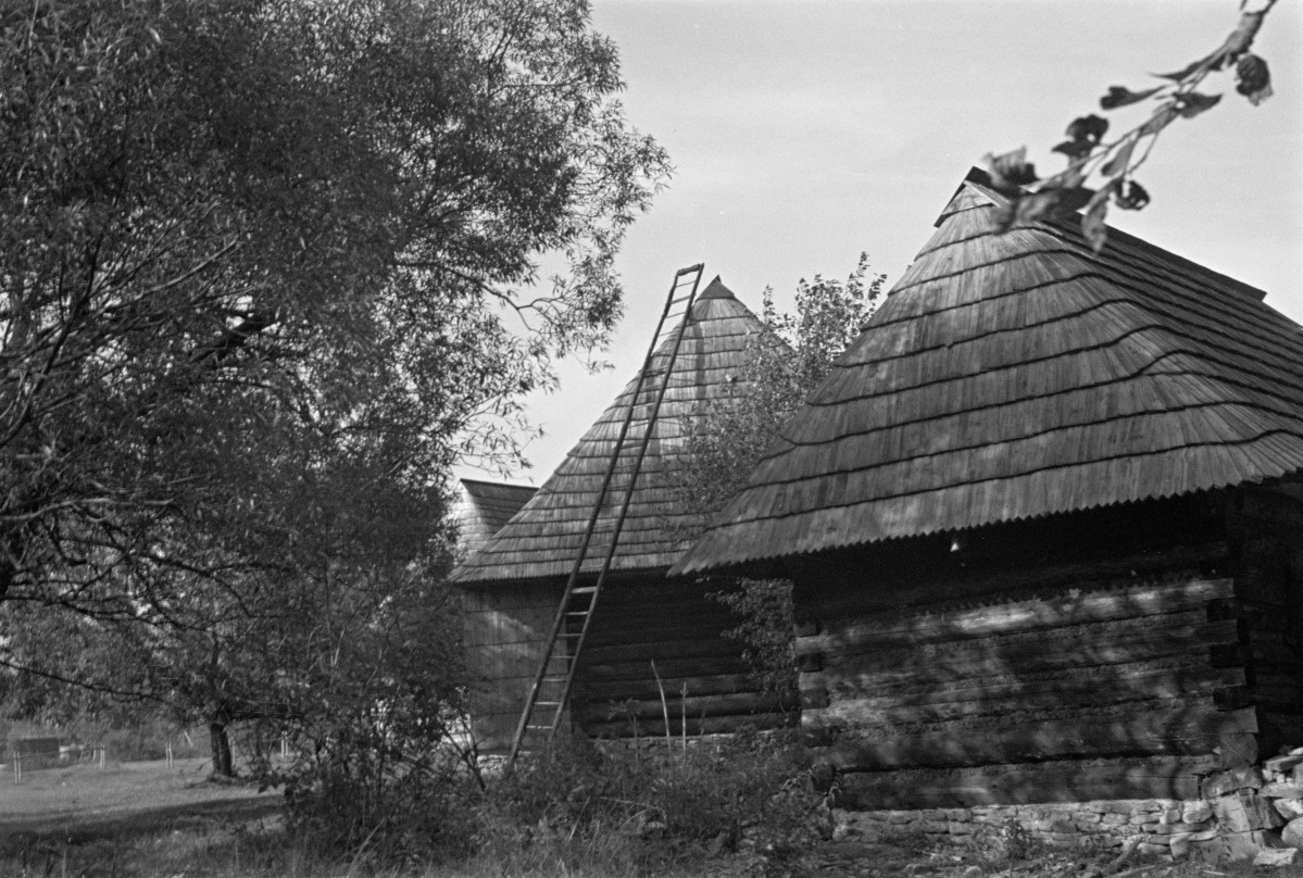 dwór Moniaków - budynki gospodarcze, skan 1