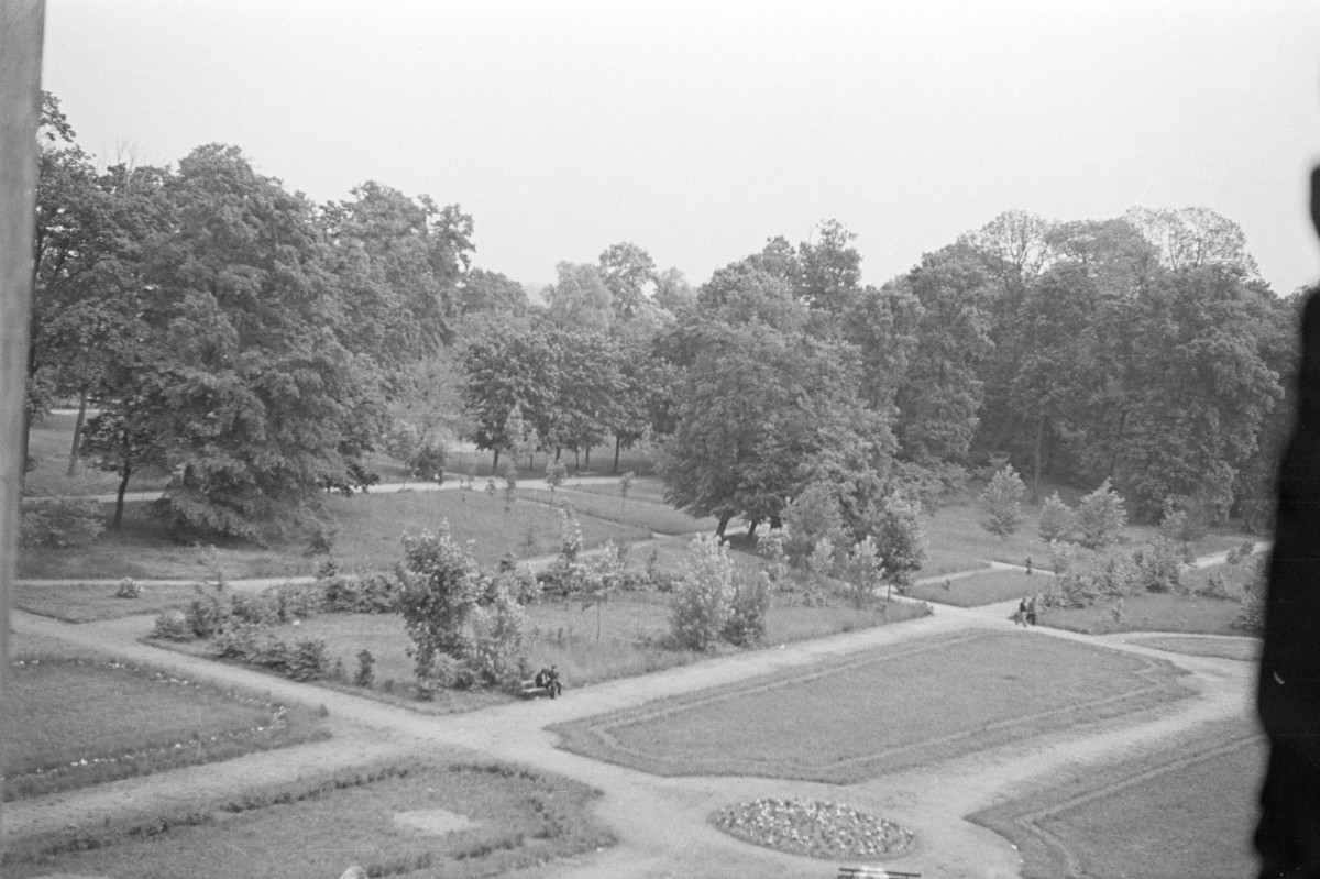 park pałacowy, skan 1