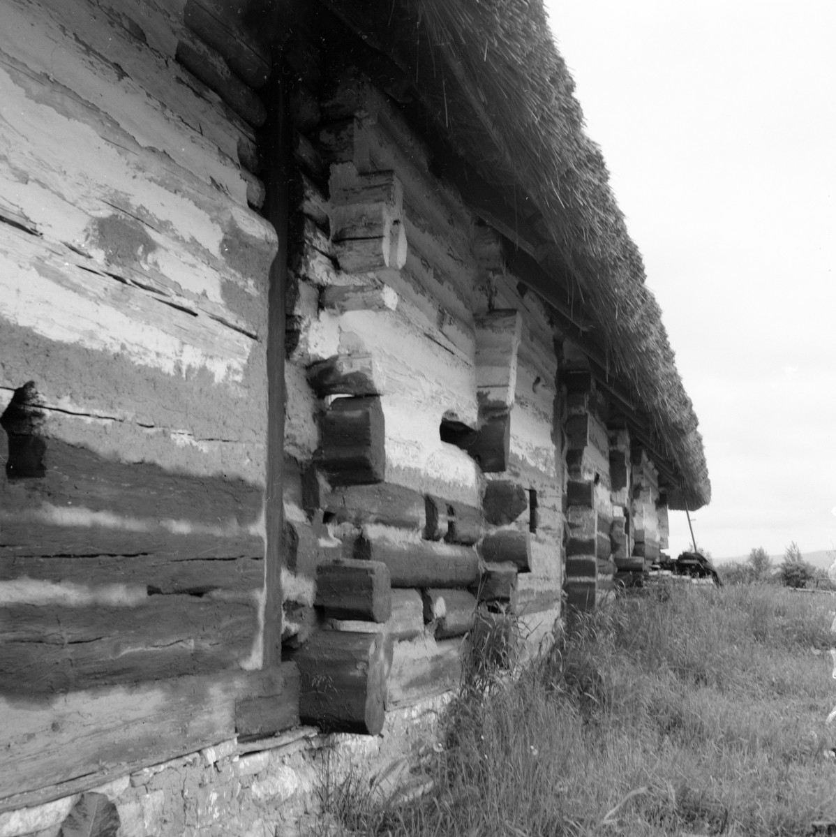 skansen - wieczna chałupa z tzw. tragarzem z Dąbrówki Ruskiej, elewacja detale, skan 1