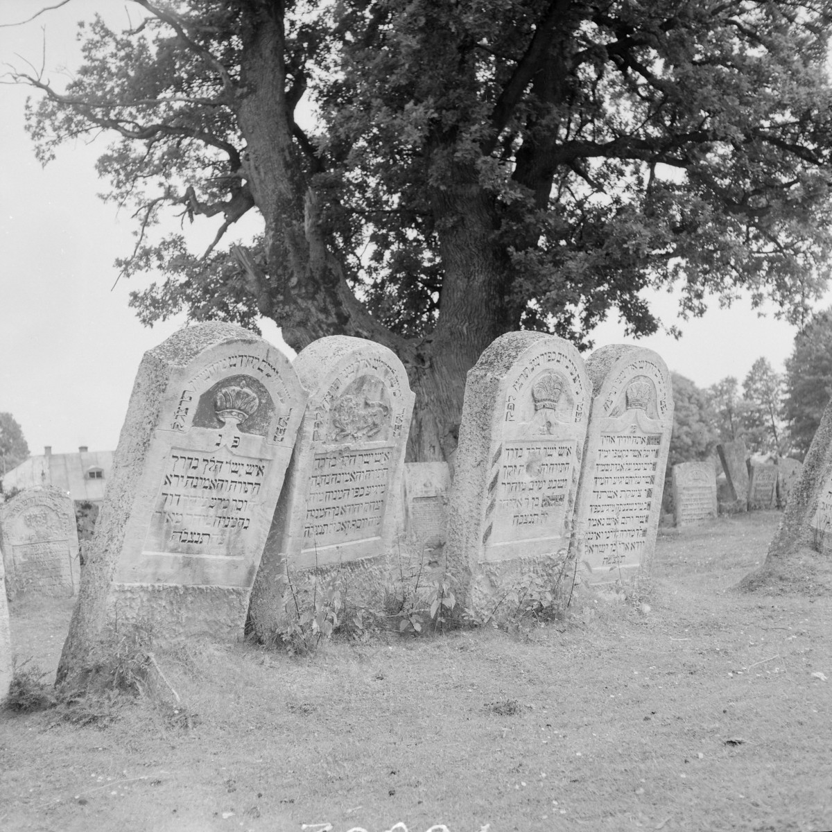 Cmentarz, Kirkut - macewy, skan 1