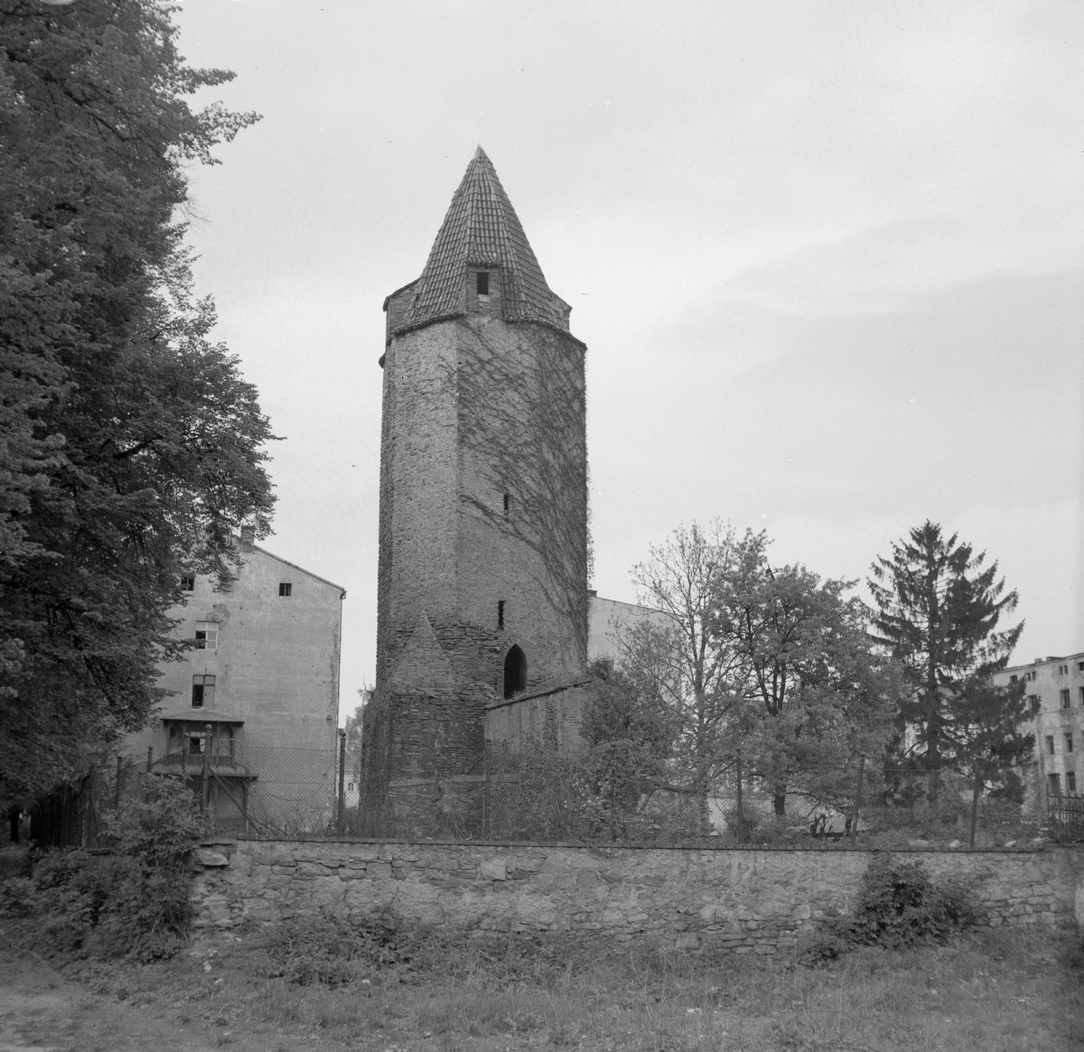 mury miejskie - Baszta Dziobowa /Ptasia/ - widok od południa, skan 1
