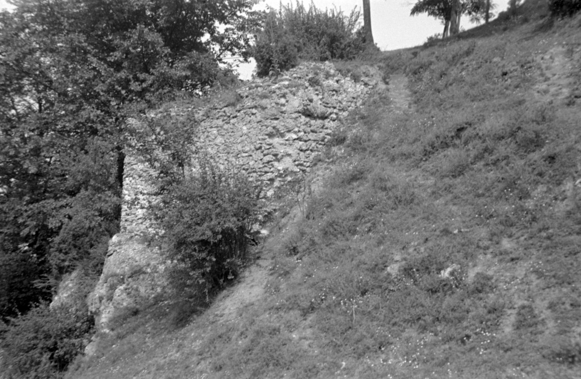 fragment ruin zamku, widok ogólny, skan 1