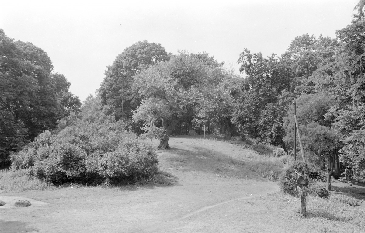 zespół dworski - park z grodziskiem, skan 1